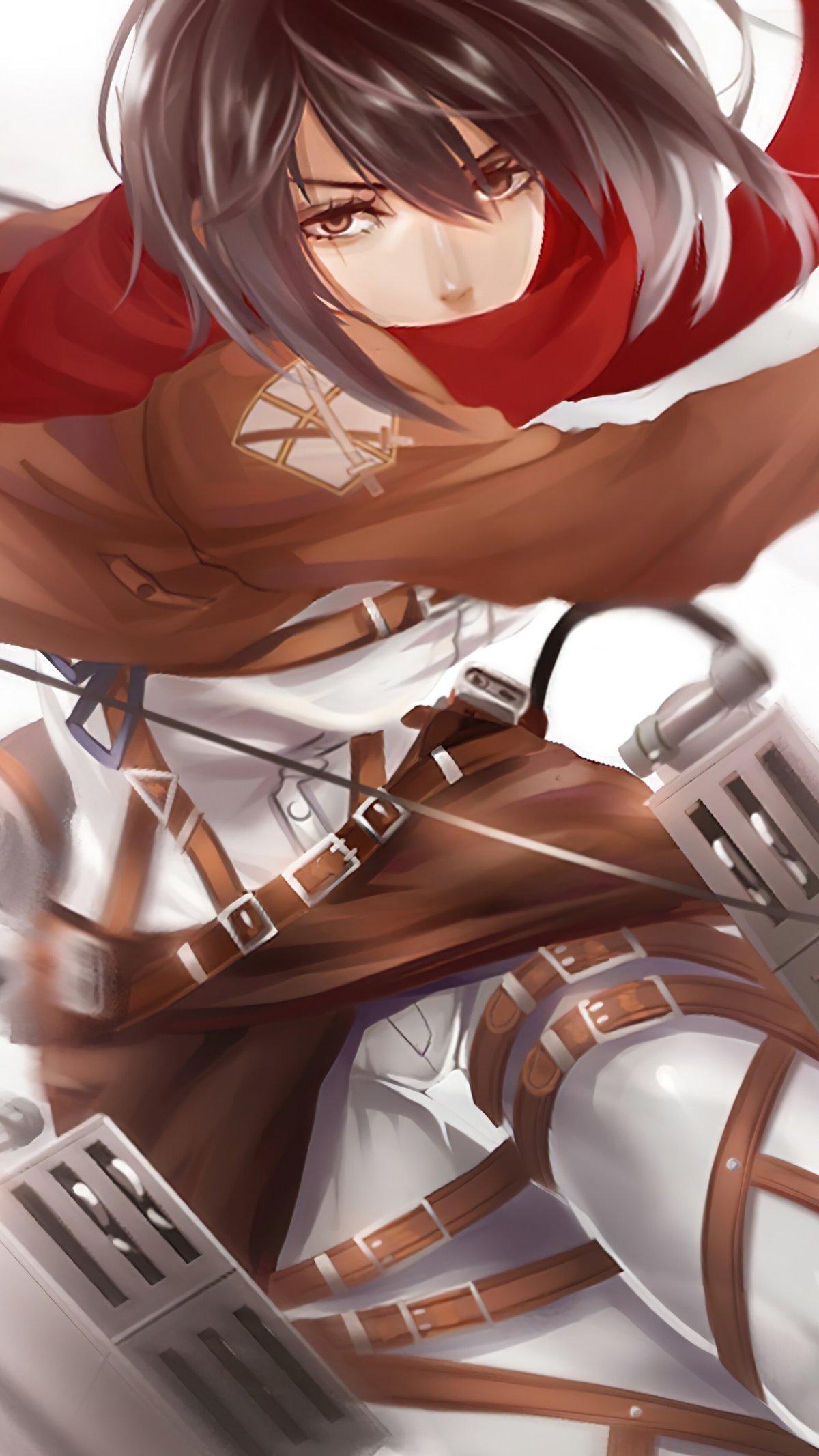 Mikasa Ackerman in Classroom of the Elite Is Not a Character